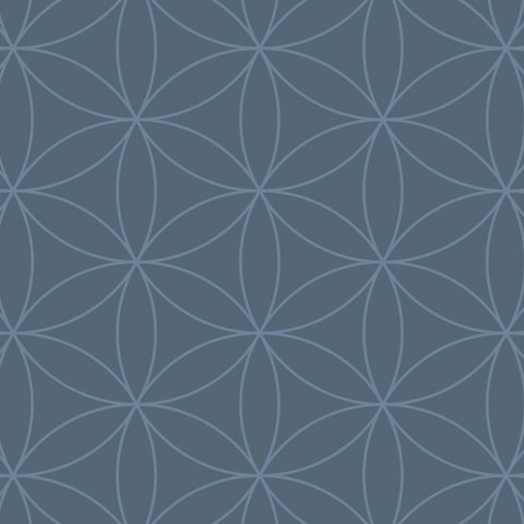 intersecting outlined circles formation pattern