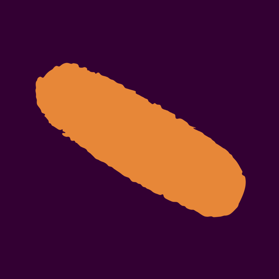 svg paint stroke