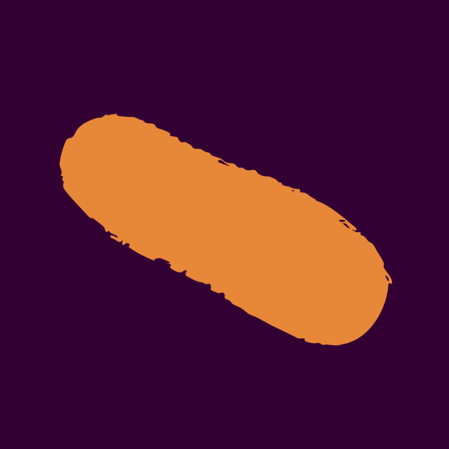 svg paint stroke